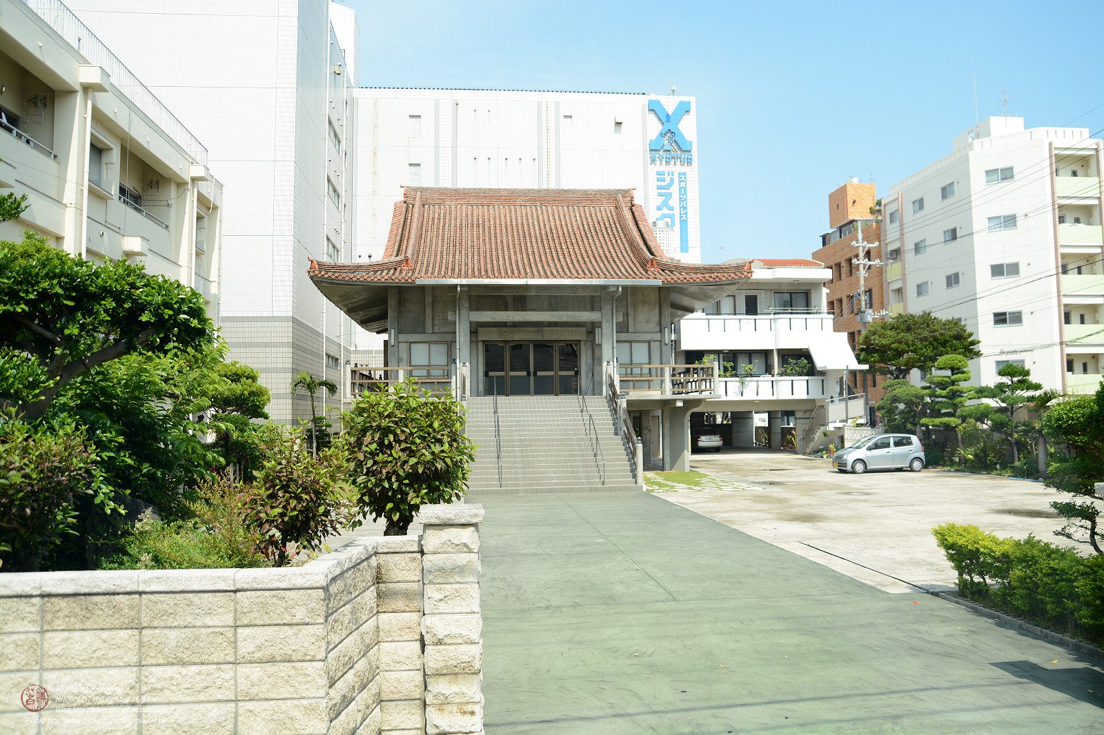 DSC_3382.jpg